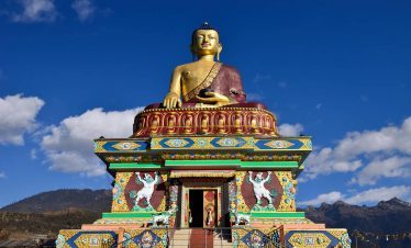 Buddha top, Oddessemania