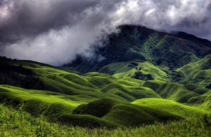 Dzukou Valley Trek