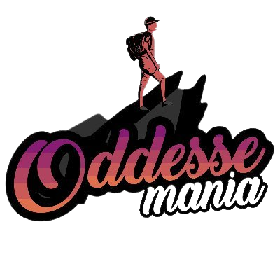 Your Ziro Festival Of Music Adventure Plan Awaits | Oddessemania