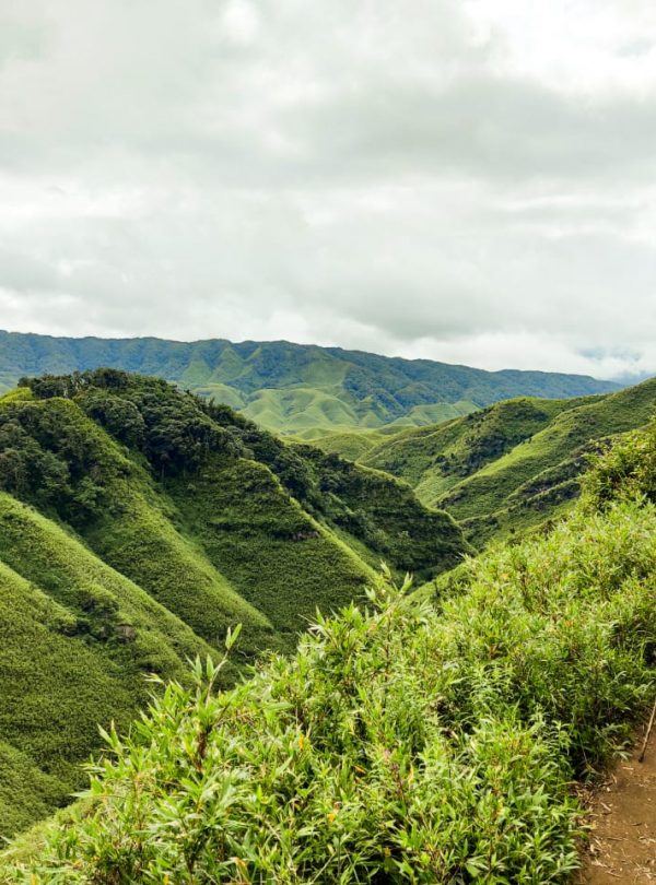 dzukou valley