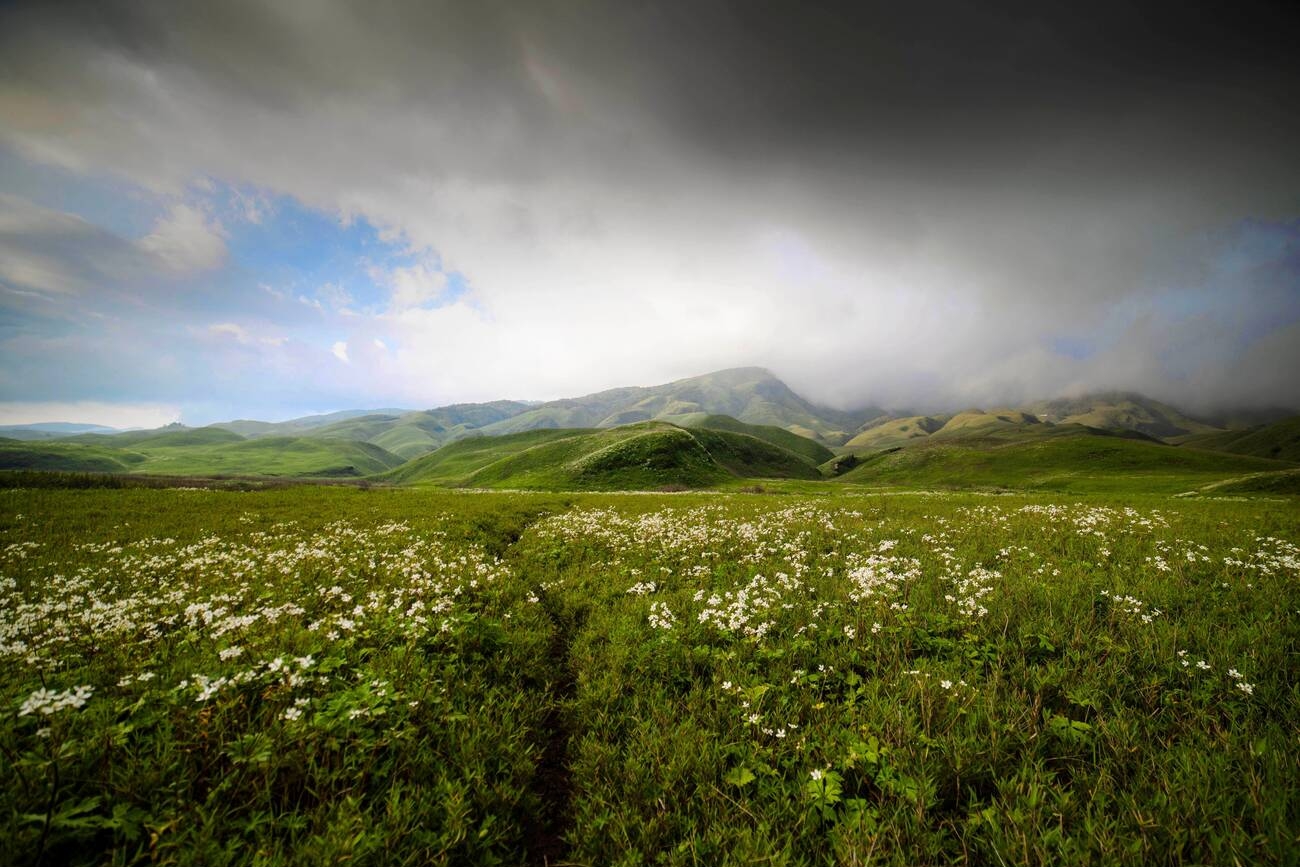 dzukou valley trek best time