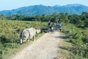 Kaziranga Tawang Tour