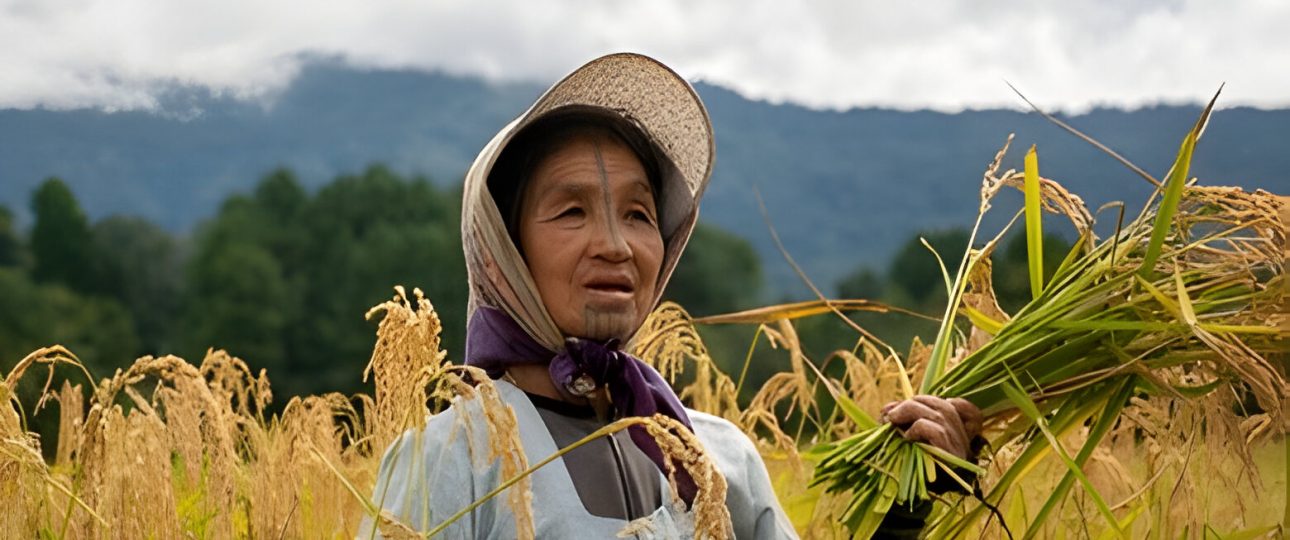 people of ziro preparing for ziro festival