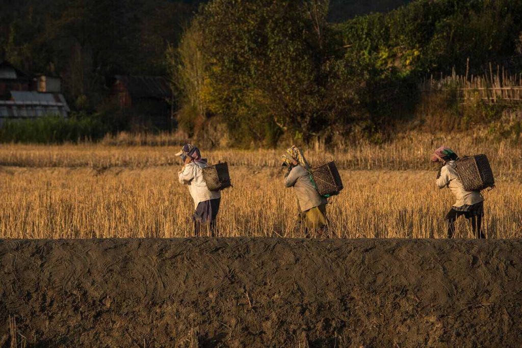 Apatani peoples preparing for Ziro festival