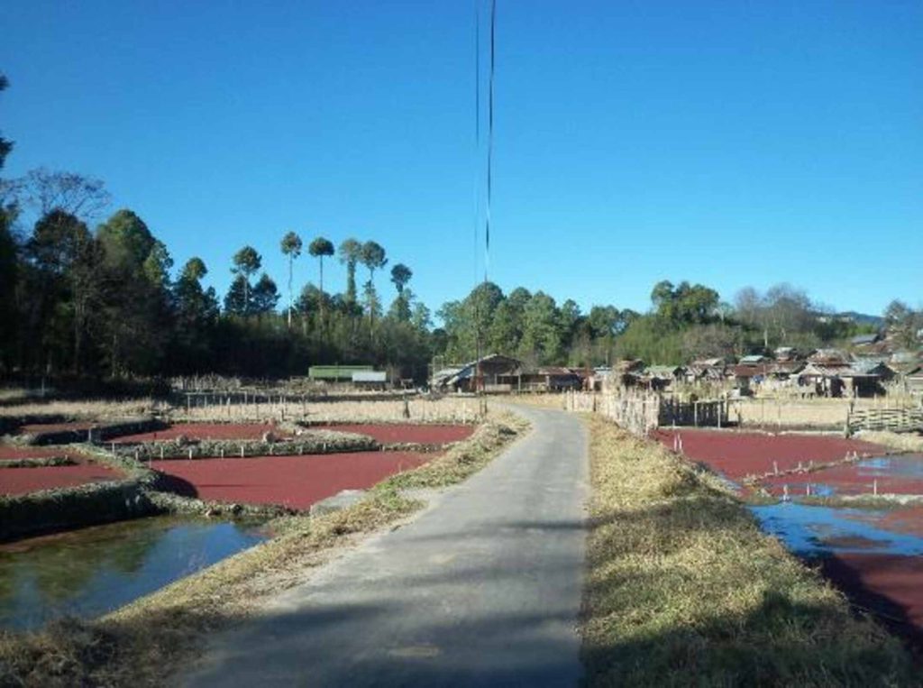 Tarin Fish Farming