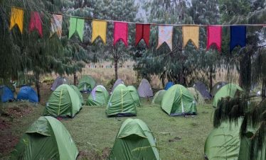 Ziro Festival Of Music