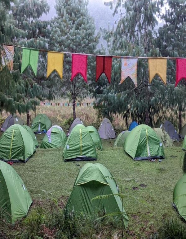 Ziro Festival Of Music