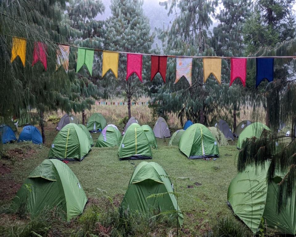 camping in ziro