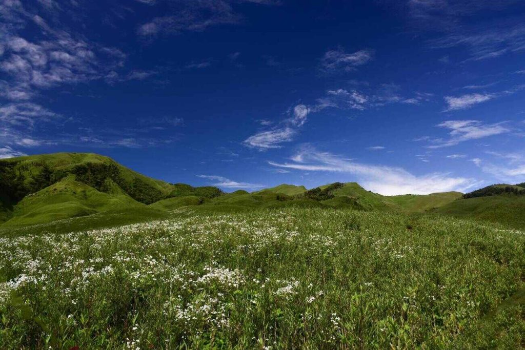 dzukou one of the best places to visit in northeast in summer