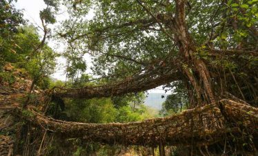 Meghalaya Tour Package