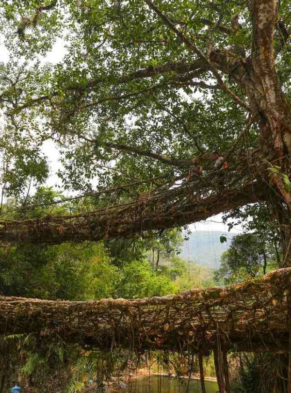 Meghalaya Tour Package