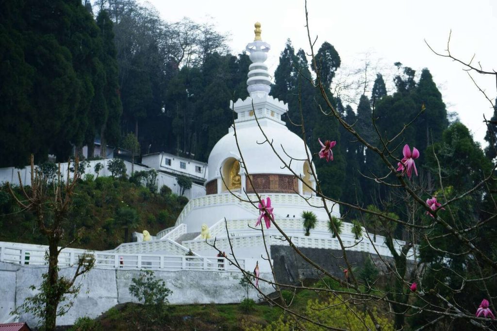 peace pagoda tourist places in Darjeeling