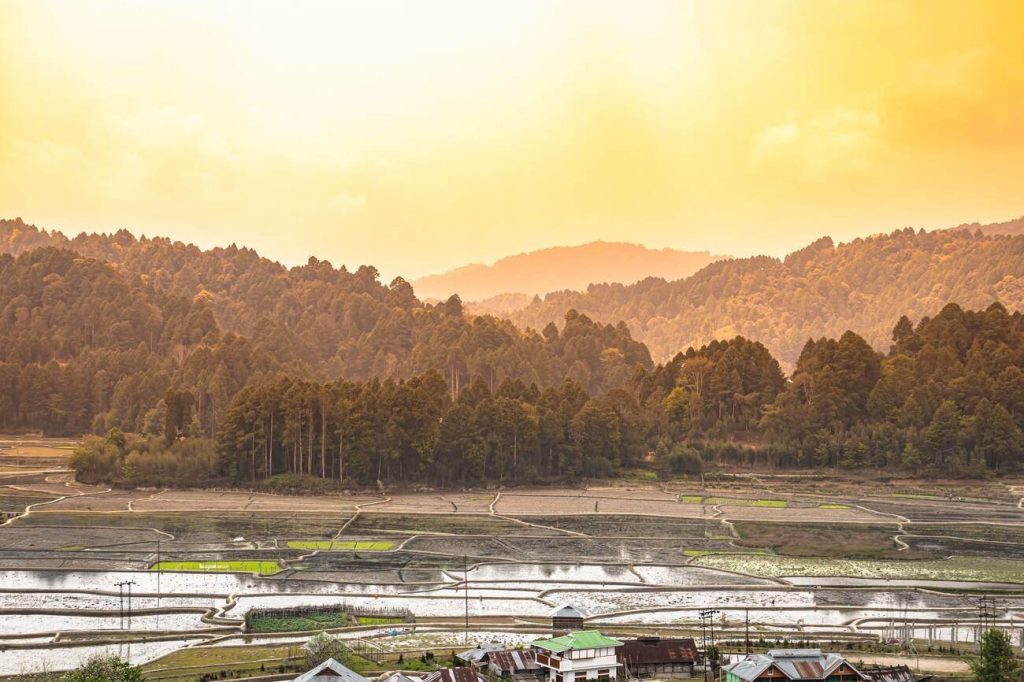 things to do in Ziro