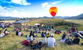 ziro music festival featured