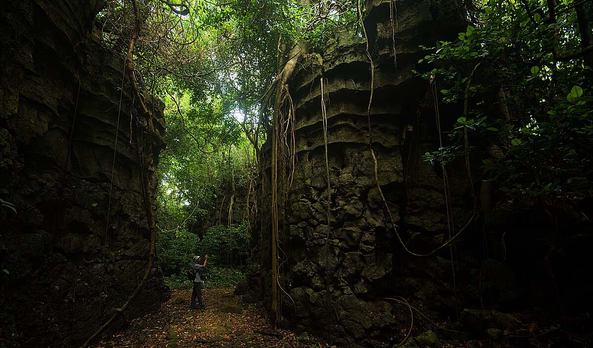 Explore Caves In Meghalaya: A Guide For Adventurous Caves