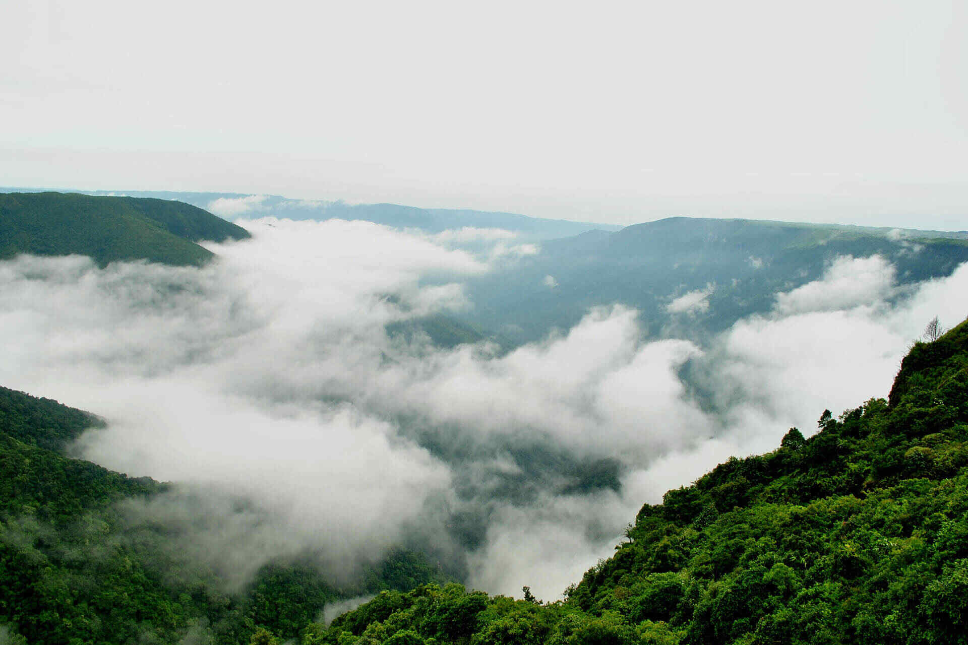 The offbeat thrilling plan to Meghalaya in Monsoon
