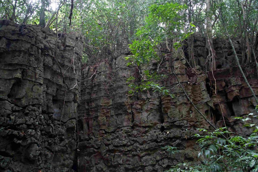 Siju Caves