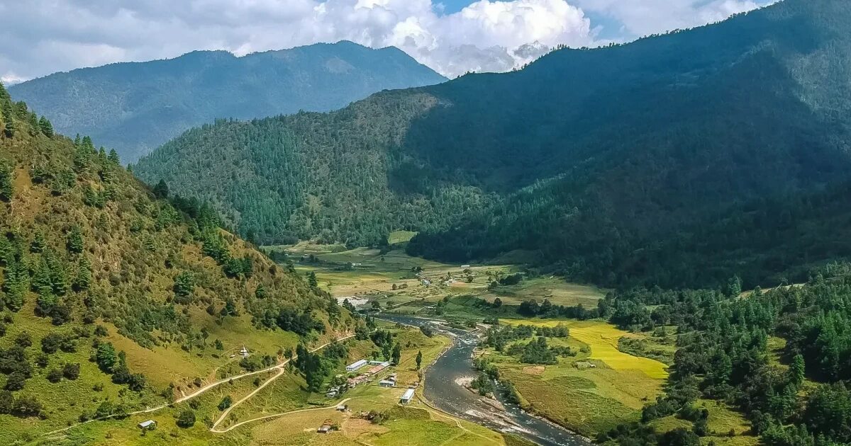 Ziro Valley Spring Season