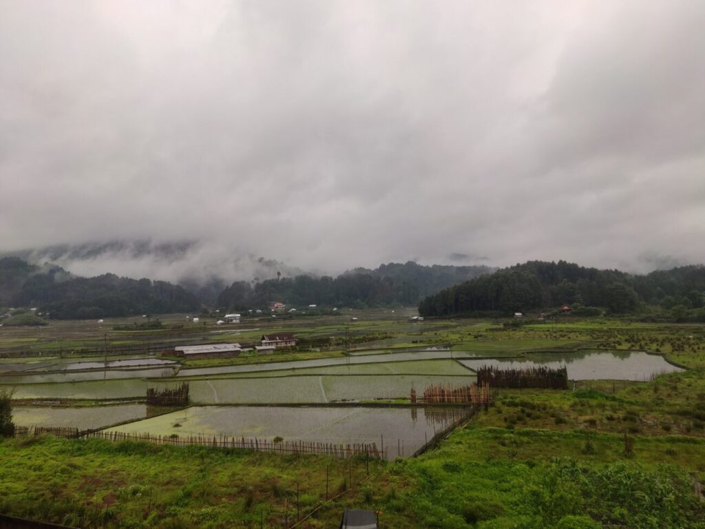 time to visit ziro 1