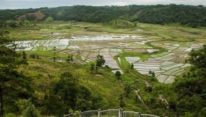 Lalong Park one of the best places to visit in Jowai