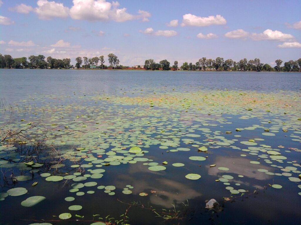 Visiting Sivasagar Lake Borpukhuri is one of the best things to do in Sivasagar