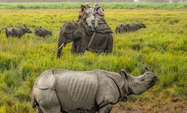 kaziranga tawang tour package