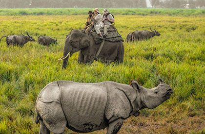 kaziranga tawang tour package