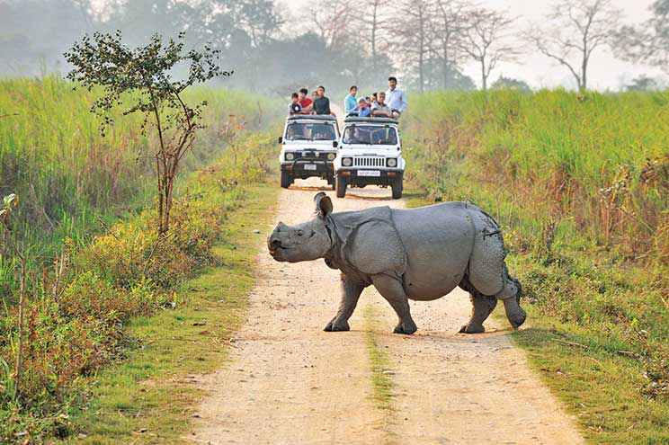 kaziranga tour plan