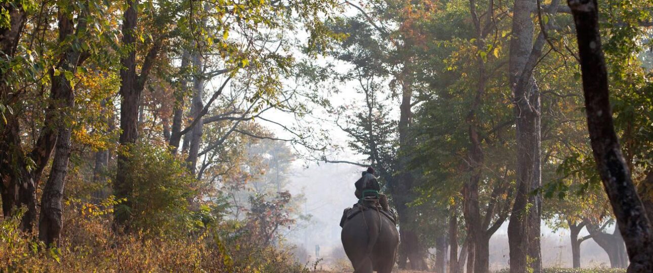best time to visit manas national park