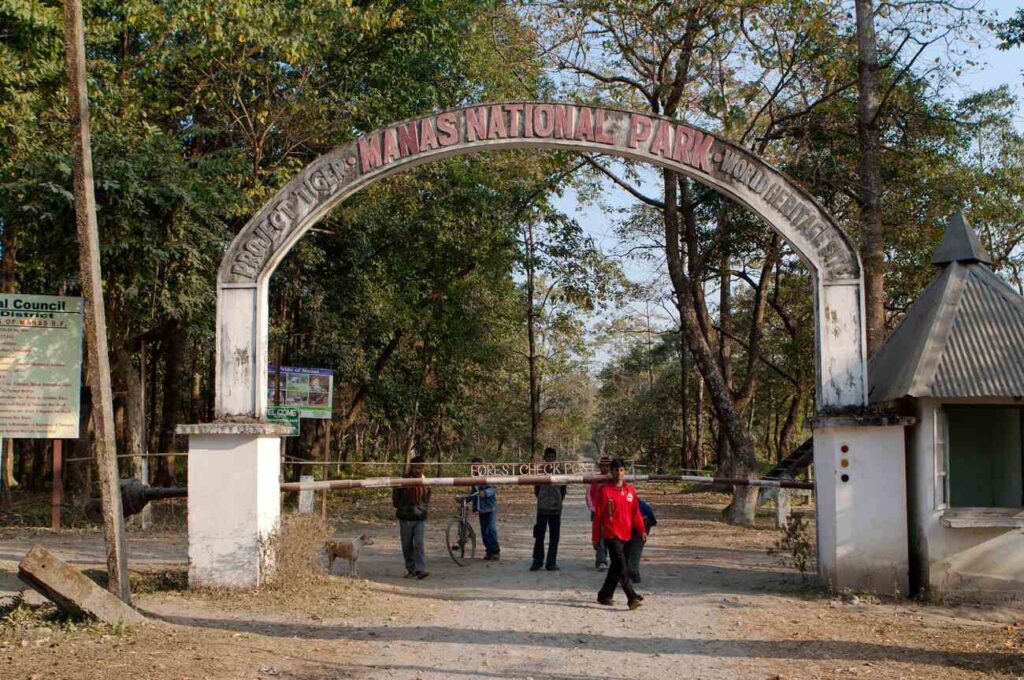 Best time to visit Manas National Park 2 best time to visit manas national park