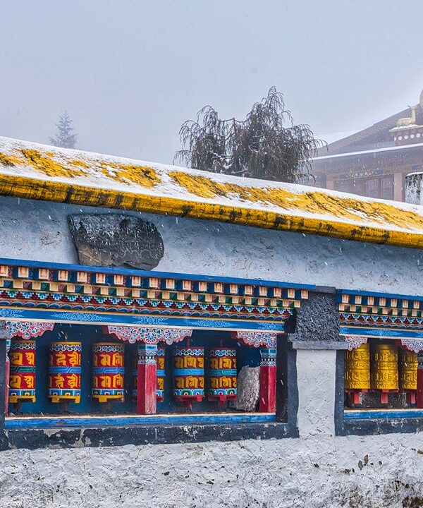 kaziranga tawang tour package