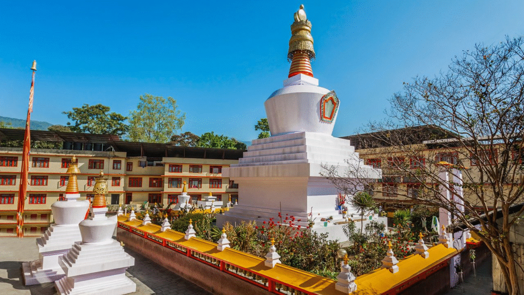 Why should you visit Sikkim this summer? Here's the best reasons to visit Sikkim 6 image 20