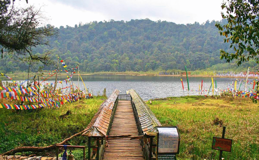 Why should you visit Sikkim this summer? Here's the best reasons to visit Sikkim 16 image 30