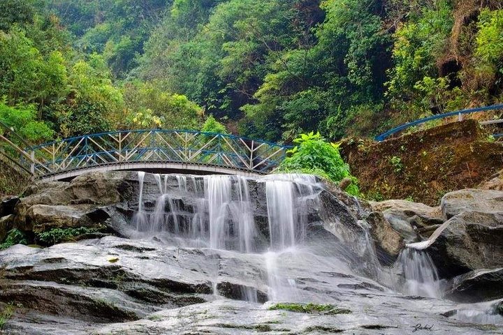 rock garden 1