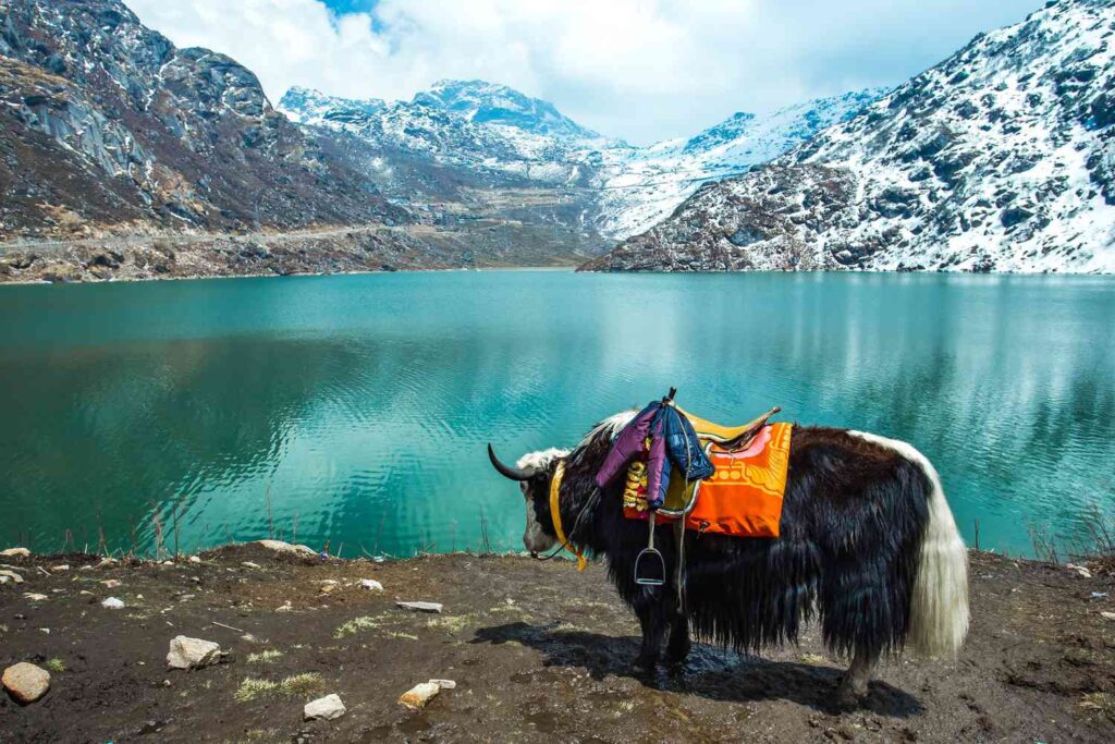 Why should you visit Sikkim this summer? Here's the best reasons to visit Sikkim 2 places to visit in Sikkim in summer