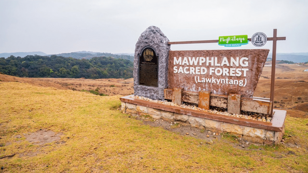 Experience the magic of Meghalaya in winters 22 image 11