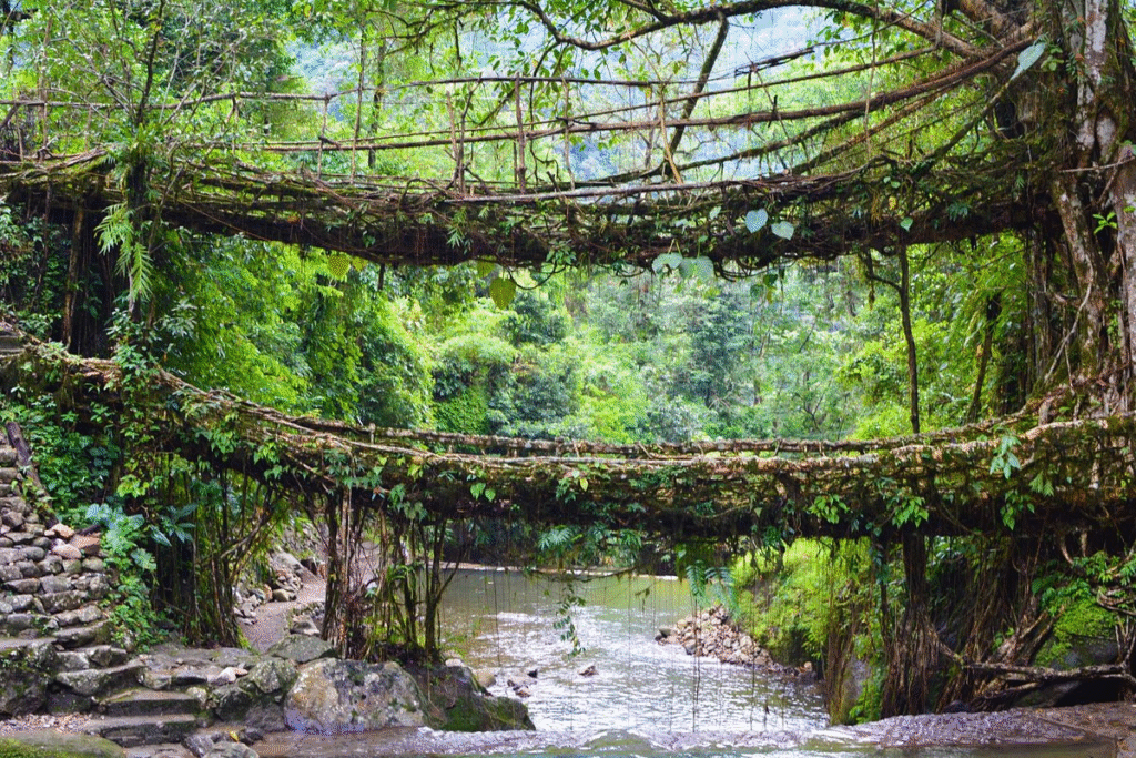Experience the magic of Meghalaya in winters 24 image 13
