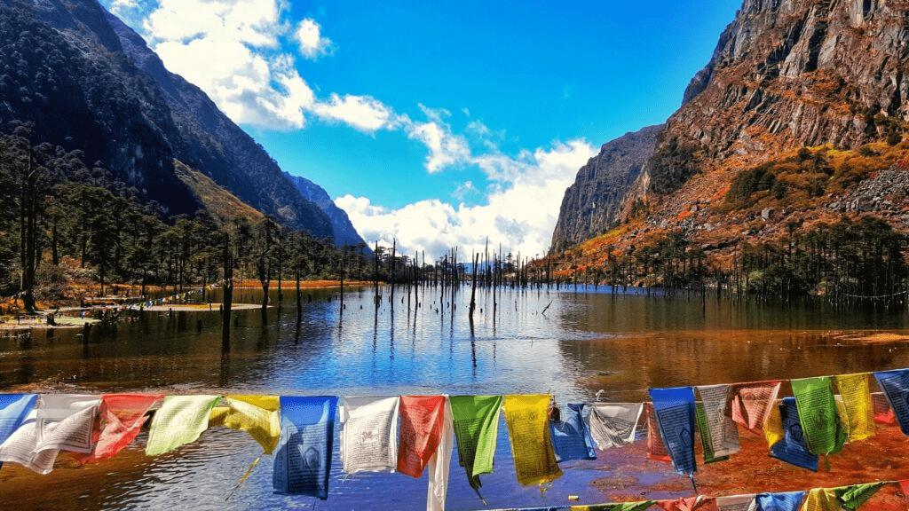 How to visit Tawang in winter: Tips, tricks, and best must-see spots 16 image 39