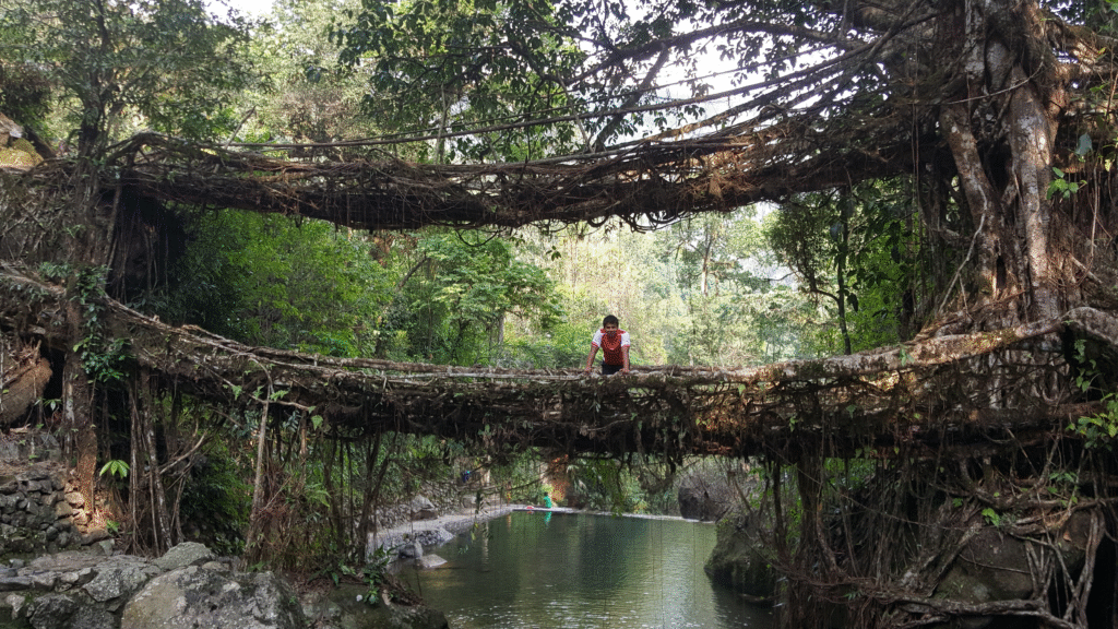 Experience the magic of Meghalaya in winters 13 image 6