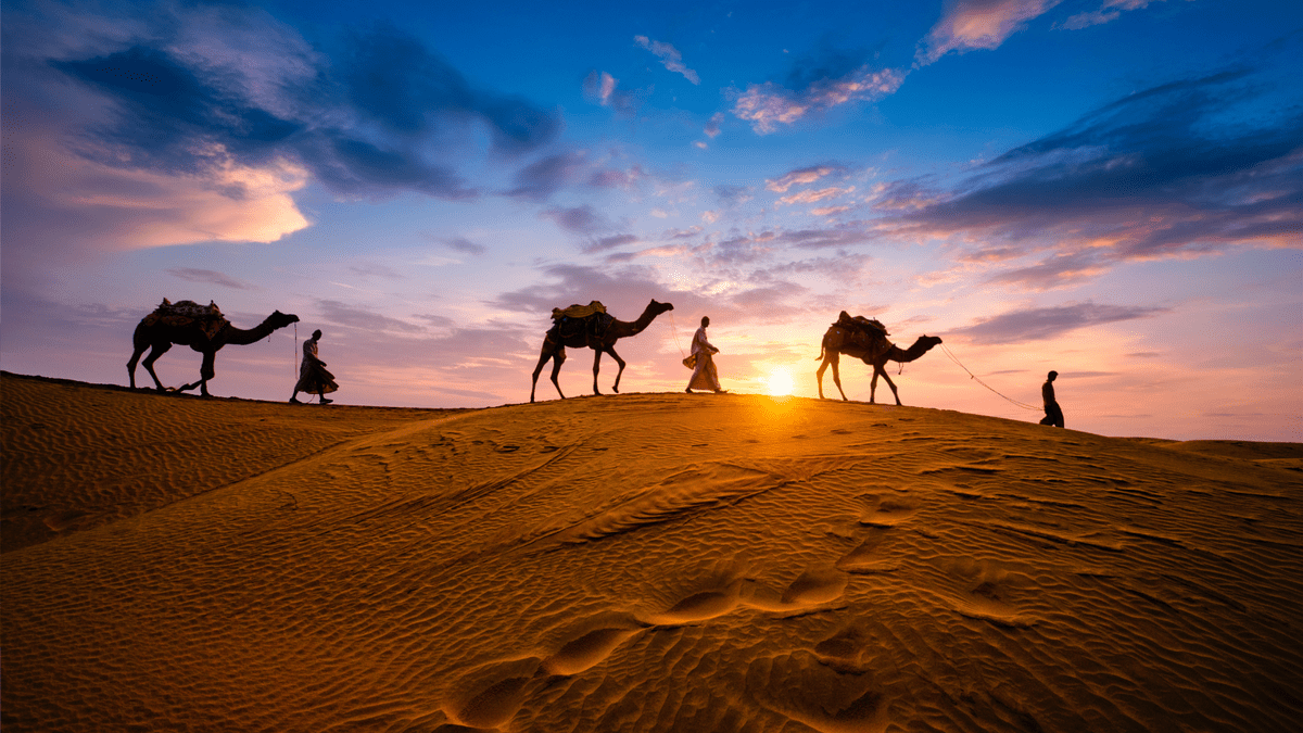 Best Rajasthan itinerary for 7 days