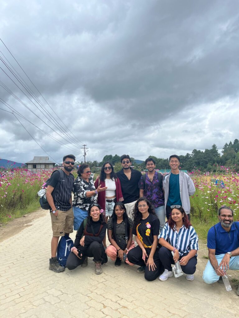 Ziro Festival of music package