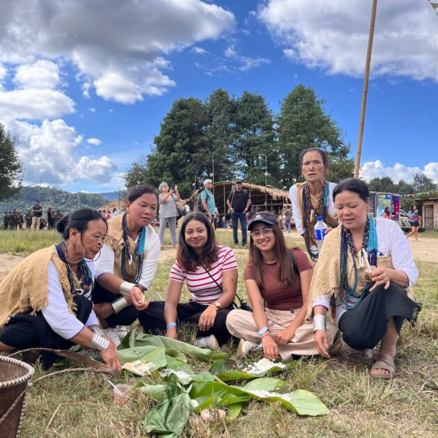 ziro festival of music package 6