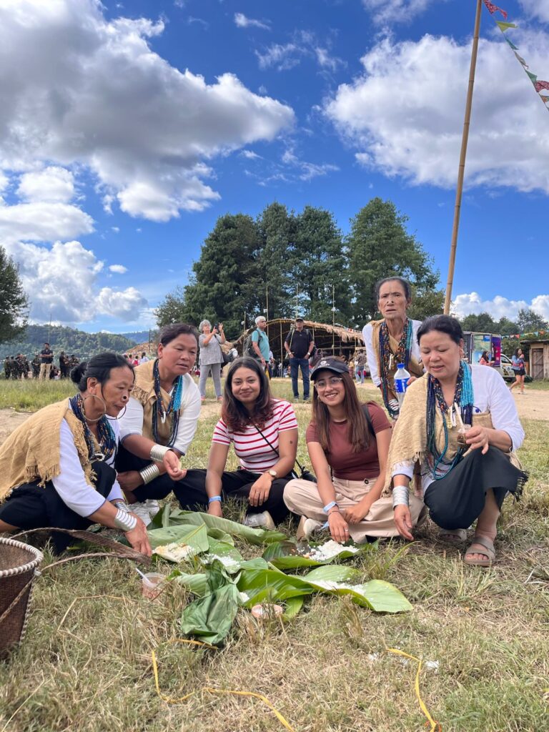 ziro festival of music package 6
