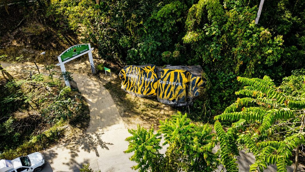 11 Best Places to Visit in Mizoram: A Complete Guide 12 dampa tiger reserve