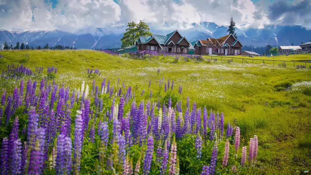 5 Days Kashmir Honeymoon Itinerary: Srinagar, Gulmarg & Pahalgam 3 gulmarg